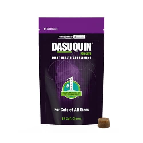Dasuquin Gatto: Recensione Completa del Integratore Articolare [2024]