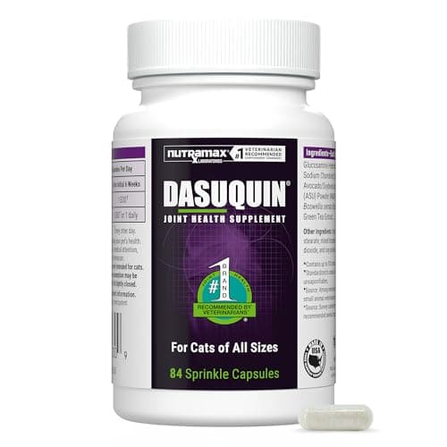 Dasuquin para Gatos: Análisis Completo del Suplemento Articular