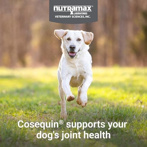 Nutramax Cosequin for Dogs Joint Health Supplement, Contains Glucosamine for Dogs, Chondroitin, MSM and Omega-3s, Supports Joint and Skin and Coat Health, Soft Chews, 60 Count