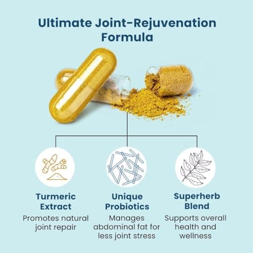 BB Company Provitalize | Probiotics for Women Digestive Health, Menopause, Joint Support | Sexy Midsection Curves, Bloat | Turmeric Curcumin Moringa | Packaging Vary | 60 Ct