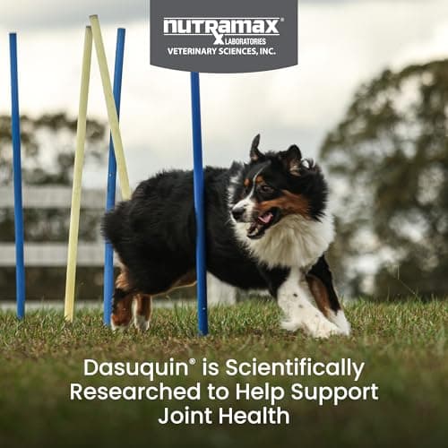 Nutramax Dasuquin for Large Dogs, Joint Health Supplement, Contains Glucosamine for Dogs, Plus Chondroitin, ASU, MSM and More, Supports Healthy Joints, Chewable Tablets, 150 Count