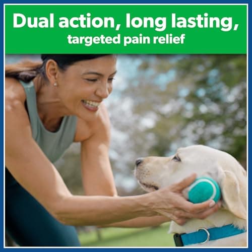Salonpas Pain Relieving Gel Patch HOT, 6 Count (Pack of 1), Menthol and Capsaicin, Up to 8 Hours Temporary Relief of Backache, Sore Muscle, Sprains, Bruises