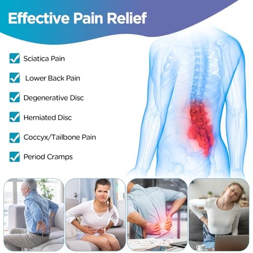 Comfytemp Ice Pack for Back Pain Relief, 2 Pcs, Sciatica Ease Brace, Reusable Gel Lower Back Ice Wrap for Injuries, Hot Cold Compress for Lower Lumbar, Waist, Men Women After Surgery (Blue)