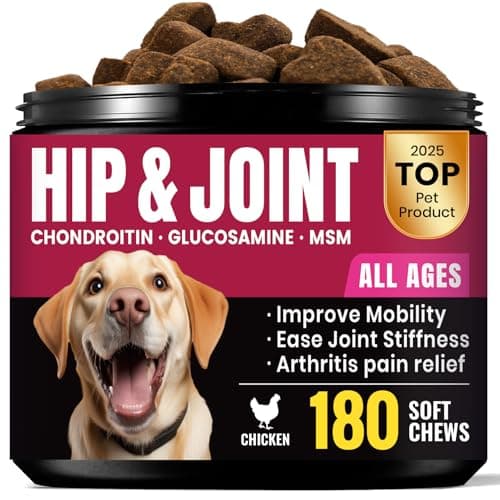 Glucosamina para Perros: Análisis del Suplemento Articular BuddyCheer (180 Masticables)