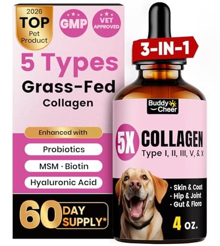 BuddyCheer Collagen for Dogs Review – Skin, Coat & Joint Support