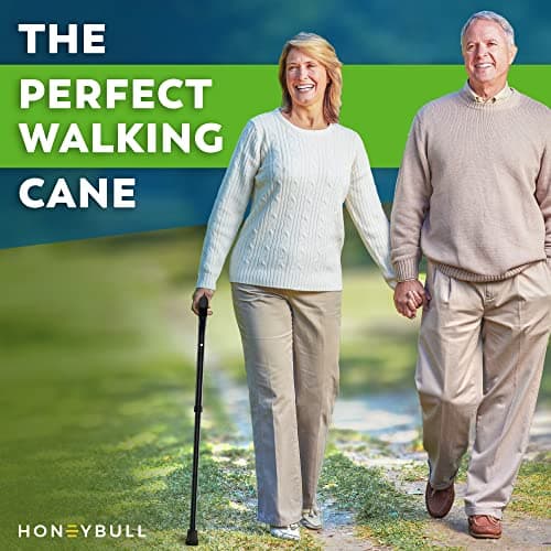 HoneyBull Walking Cane | Single Tip Canes for Men & Women, Foldable, Adjustable, Heavy Duty Up to 250 Pounds, Walking Canes for Seniors (Black)