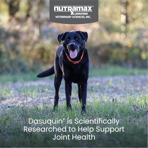 Nutramax Dasuquin for Large Dogs, Joint Health Supplement, Contains Glucosamine for Dogs, Plus Chondroitin, ASU and More, Supports Healthy Joints, Soft Chews, 84 Count