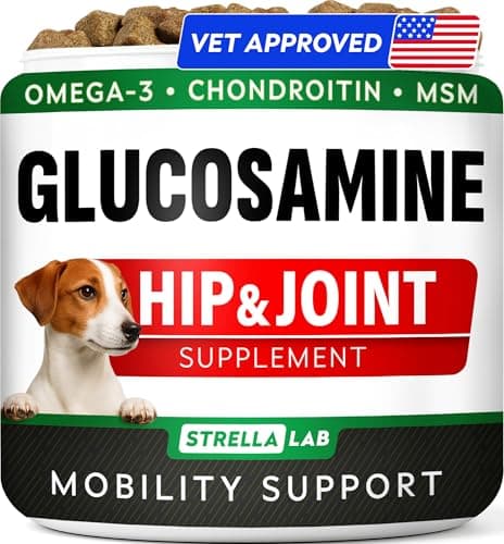 Glucosamine Treats for Dogs – RECENSION 2025 (STRELLALAB)