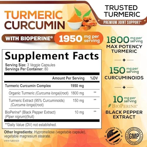 Turmeric Curcumin Supplement - 95% Curcuminoids with Organic Turmeric & BioPerine Black Pepper for Best Absorption - Daily Joint & Immune Health Support, Vegan, Non-GMO, Bottled in USA - 240 Capsules