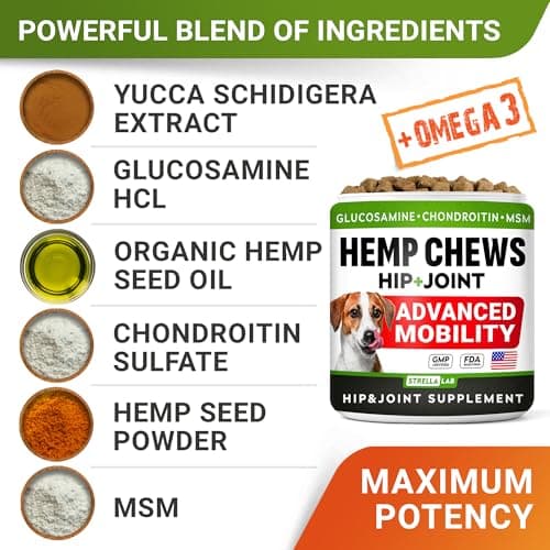 Hemp Chews for Dogs - Hip & Joint Supplement with Glucosamine - Joint Pain Relief Treats - Omega 3, Chondroitin, MSM - Advanced Mobility Support - Chicken Flavor - 120 Ct - Made in USA