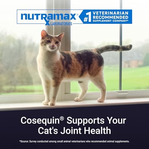 Nutramax Cosequin for Cats Joint Health Supplement, Contains Glucosamine for Cats, Plus Chondroitin, and Omega-3s, Supports Joint and Skin and Coat Health, Sprinkle Capsules, 80 Count